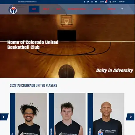 Portfolio project preview